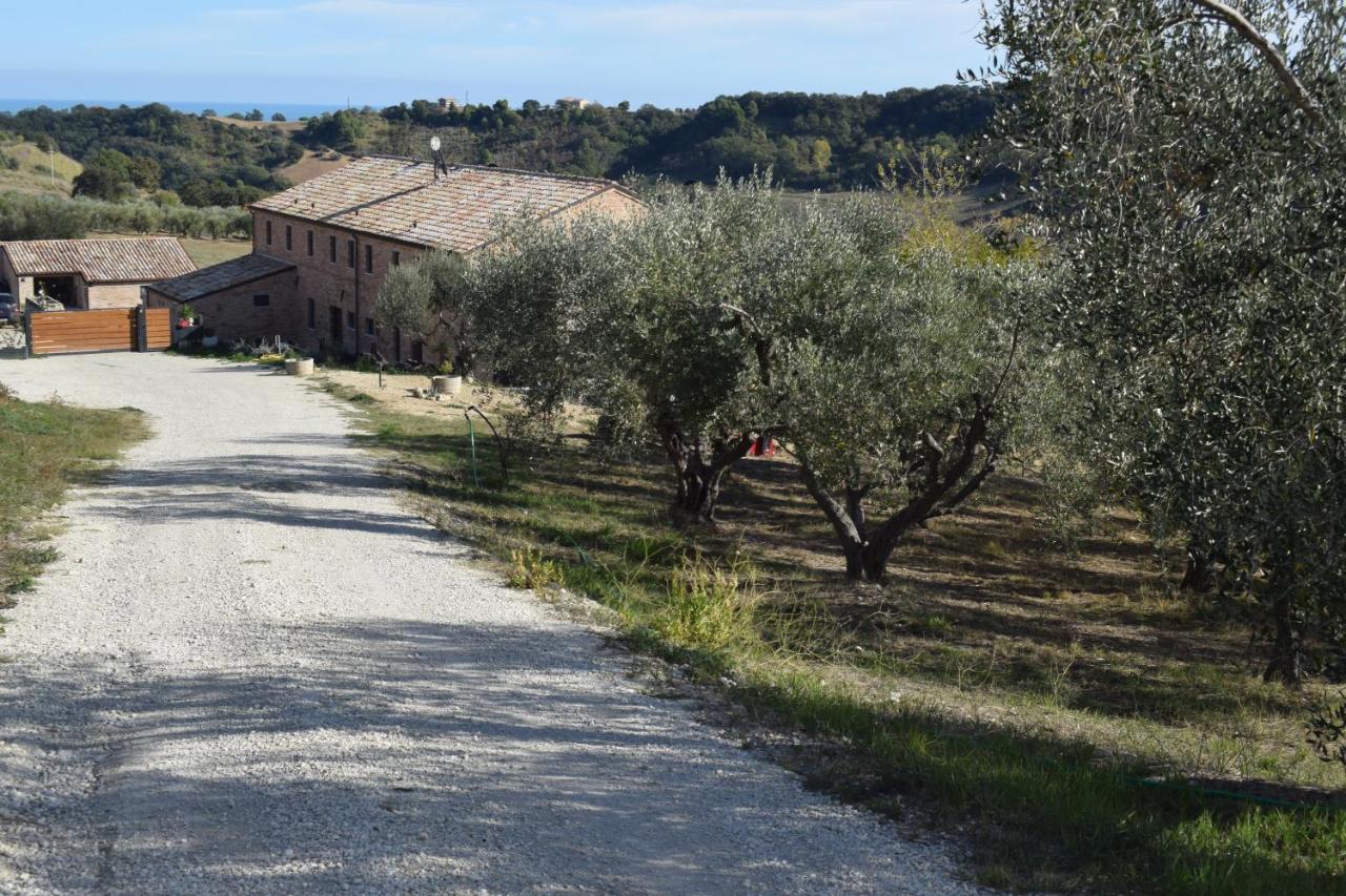 Monna Terra B&B Fermo Esterno foto